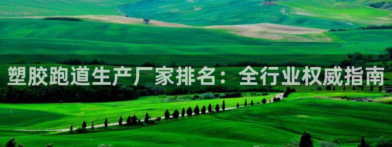 红足1世手机下载:塑胶跑道生产厂家排名:全行业权威指南