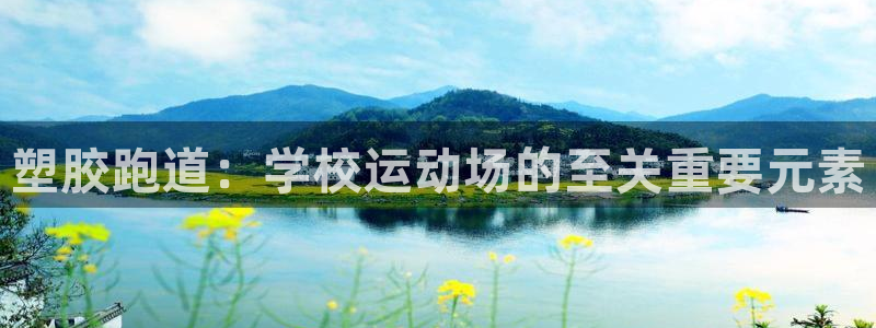 66814红足：塑胶跑道：学校运动场的至关重要元素