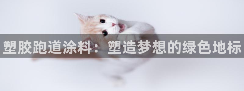 红足一一世足球网开奖记录：塑胶跑道涂料：塑造梦想的绿色地标