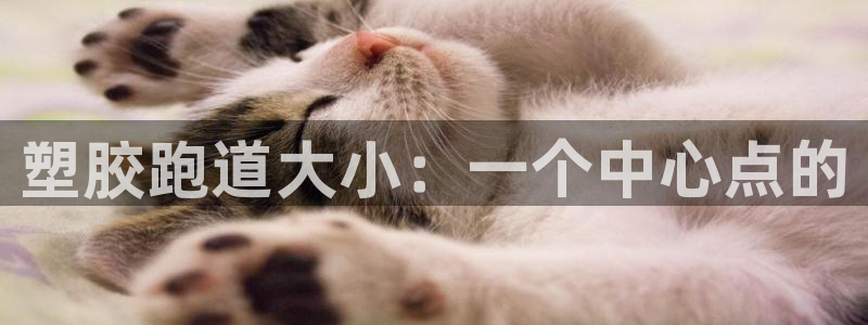 红足 世足球手机网：塑胶跑道大小：一个中心点的