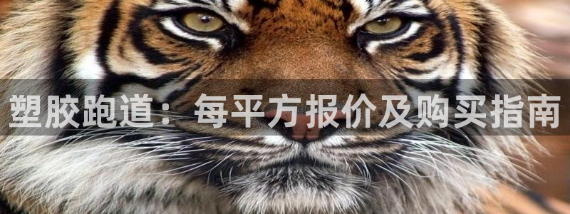55814红足1世：塑胶跑道：每平方报价及购买指南