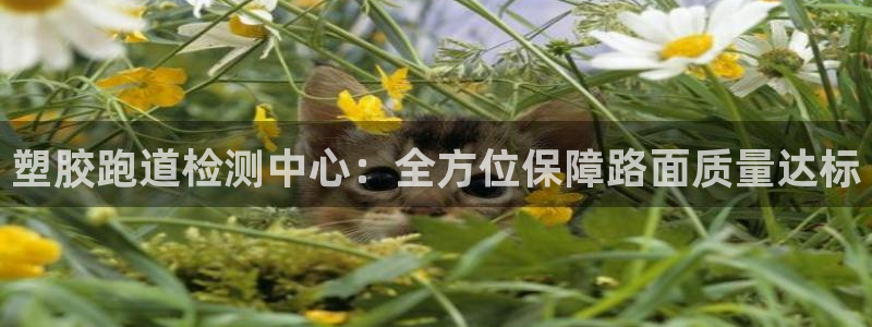 红足一：塑胶跑道检测中心：全方位保障路面质量达标