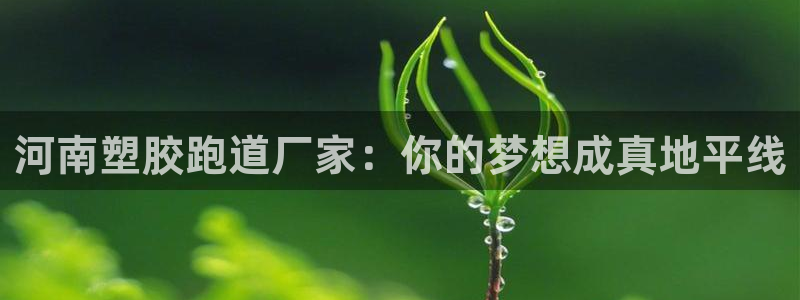 红足1世足球比分：河南塑胶跑道厂家：你的梦想成真地平线