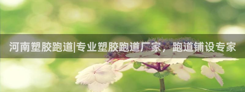 红足一1世比分:河南塑胶跑道|专业塑胶跑道厂家,跑道铺设专家