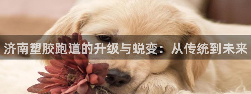 红足1世足球比分预测：济南塑胶跑道的升级与蜕变：从传统到未来