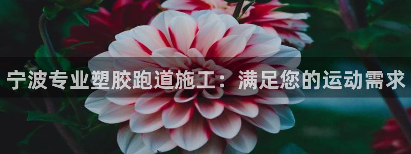 红足一1世66814新宝：宁波专业塑胶跑道施工：满足您的运动需求
