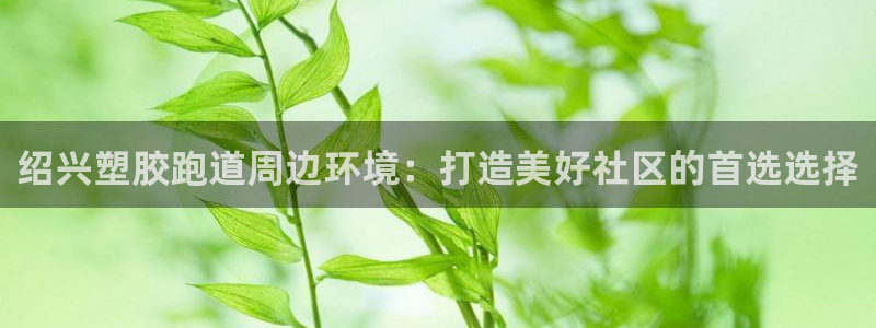 红足1世足球比分：绍兴塑胶跑道周边环境：打造美好社区的首选选择